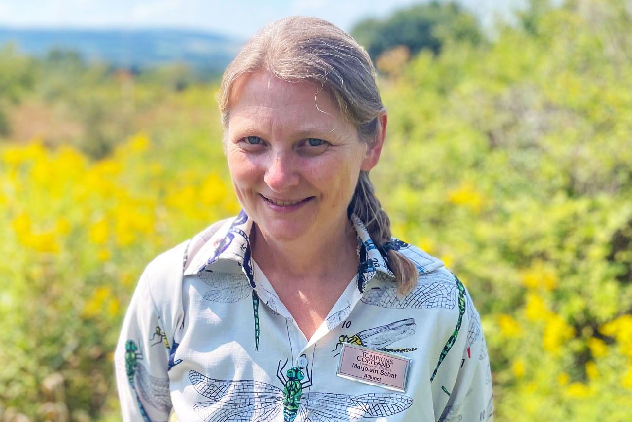 A woman standing outdoors in a sunny, natural setting with yellow wildflowers and green foliage in the background. She has light-colored hair tied in a braid and is wearing a patterned shirt featuring dragonflies, along with a name badge that reads 'Tompkins Cortland, Marjolein Schat, Adjunct.'