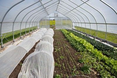 TC3 Farm | Tompkins Cortland Community College